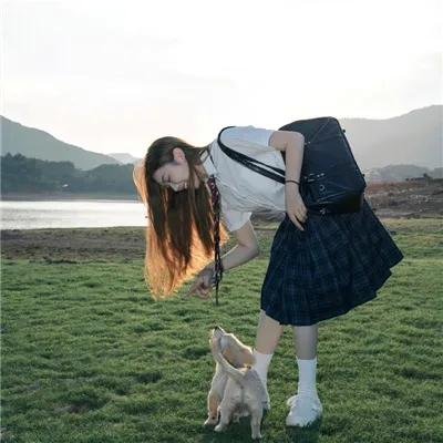 做一只鸟真不容易